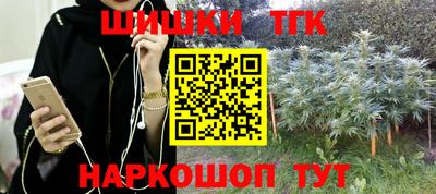 ешки Камышлов