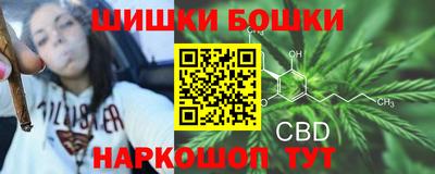 крисы Кандалакша