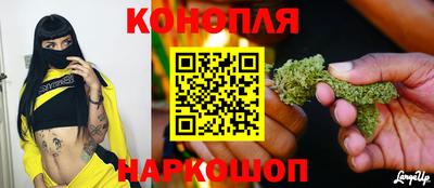 крисы Кандалакша