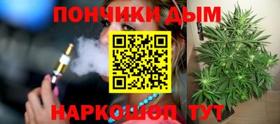 крисы Кандалакша