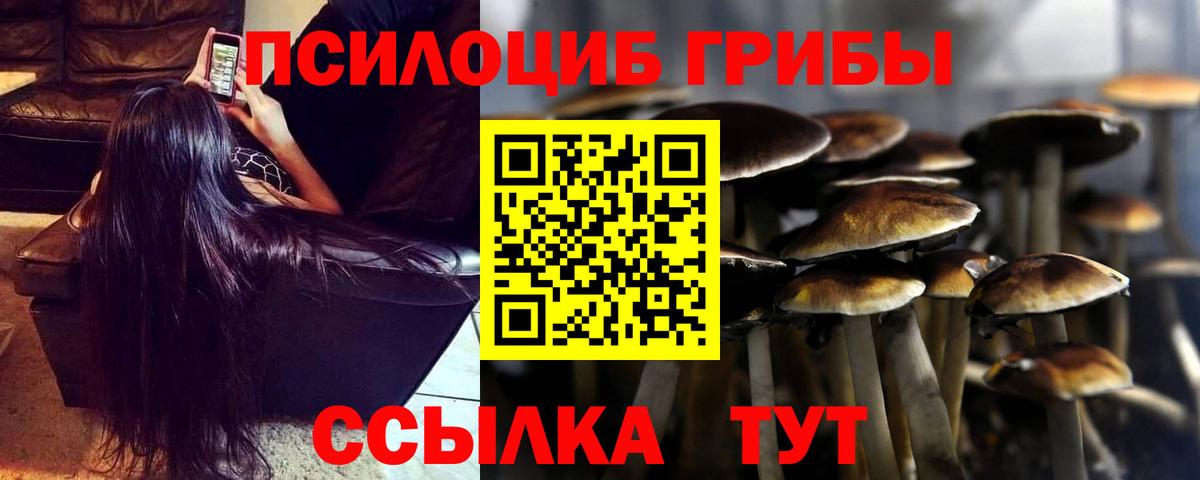 Галлюциногенные грибы мицелий Черемхово