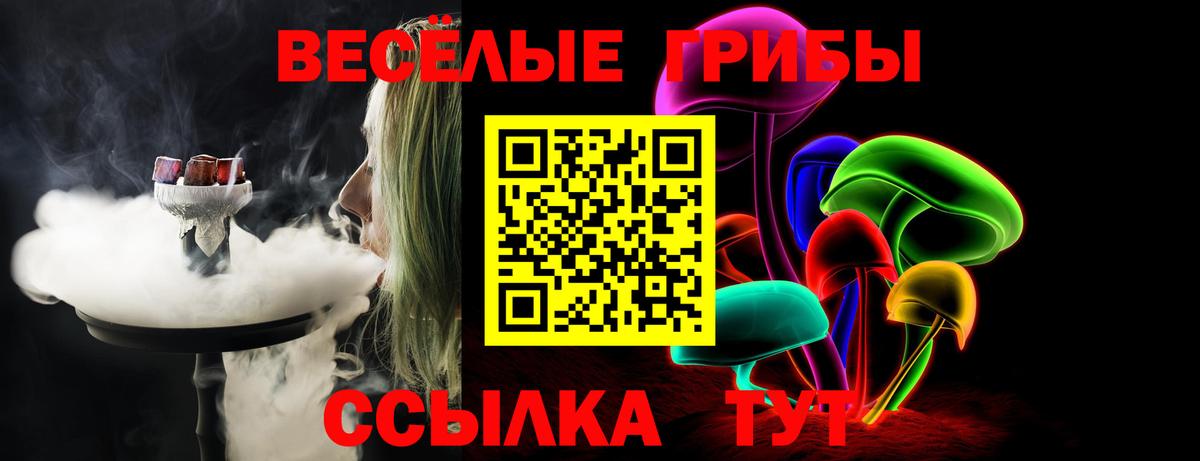 Галлюциногенные грибы мицелий  где купить наркотик  Вход с VPN  Черемхово  Псилоцибиновые грибы мухоморы 